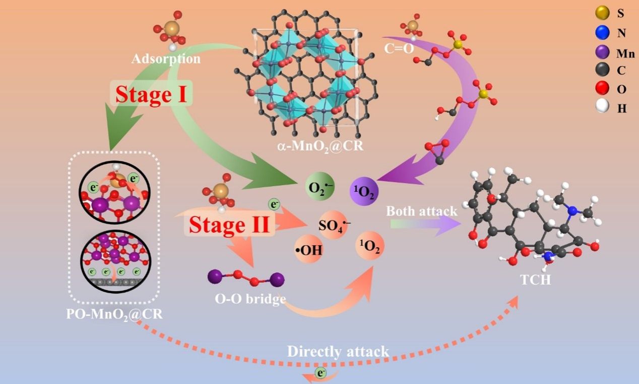 伟德bv国际体育