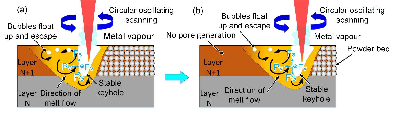 伟德bv国际体育