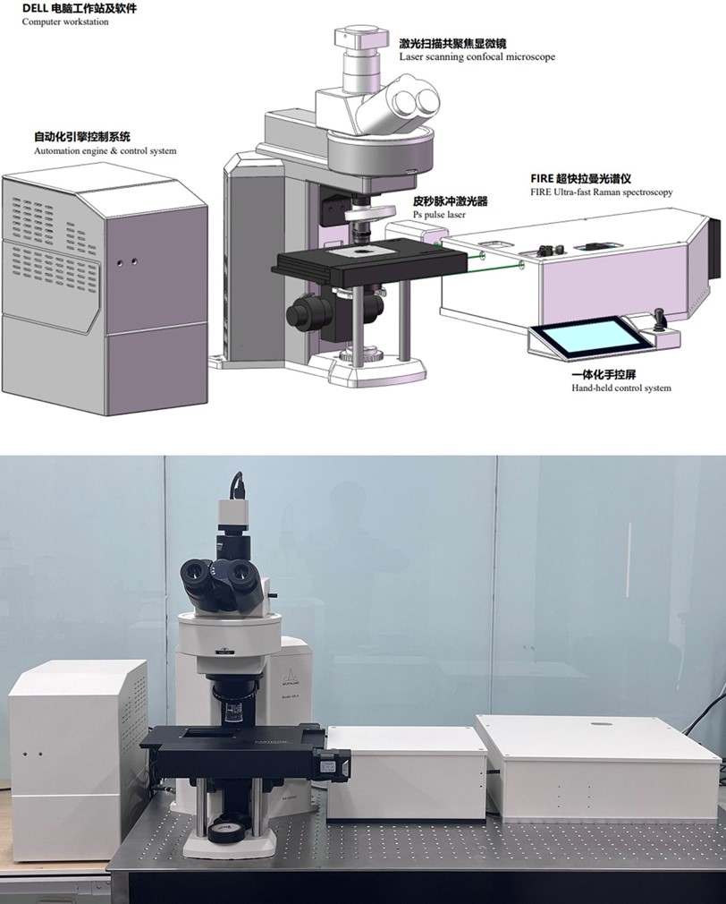 伟德bv国际体育